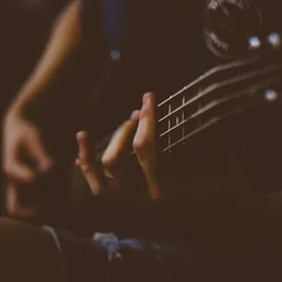 🎶 Live Music in Lambertville, NJ | Under the Moon