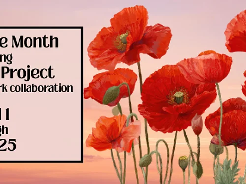 Artist of The Month: The Poppy Project