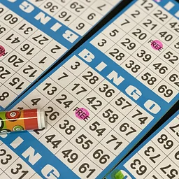 Free Bingo Night