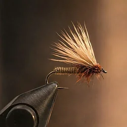 Bugs and Brews Fly Tying Class