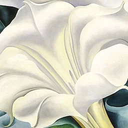 Art History Illustrated: Reconsidering Georgia O’Keeffe