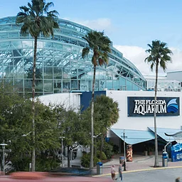 Member Event: The Florida Aquarium