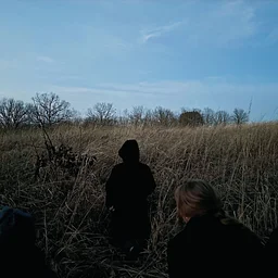 Dances with Woodcocks