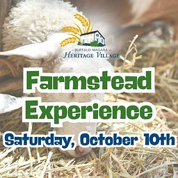 Farmstead Experience