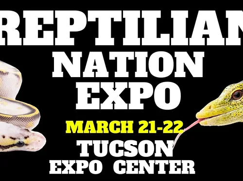 Reptilian Nation Expo