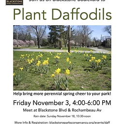Friday, Nov 3, 2023 @ 4:00 pm Daffodil Planting
