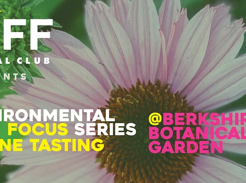 BIFF Social Club Presents Le Poete Lucide – a Wine Film and Tasting