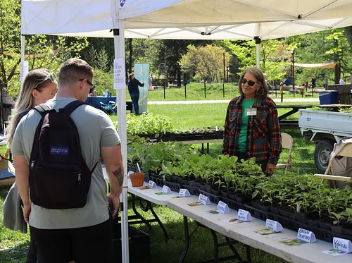 Spring Plant Sale
