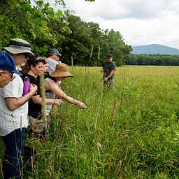 Wild Edible Foraging and Tasting Class at Thorn Preserve