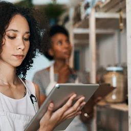 Canva 101: Mastering the Basics For Your Small Business