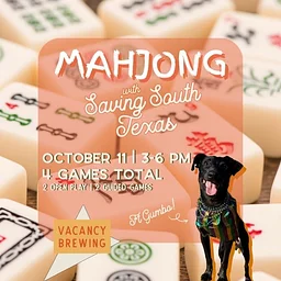 Mahjong with Saving South Texas!