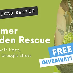 Seminar | Summer Garden Rescue: Dealing with Pests, Weeds & Drought Stress