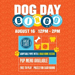 Dog Day Bingo