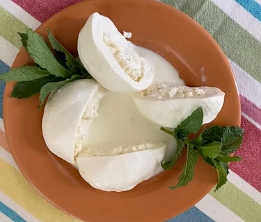 Burrata