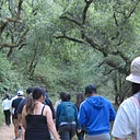 Hike & Sip