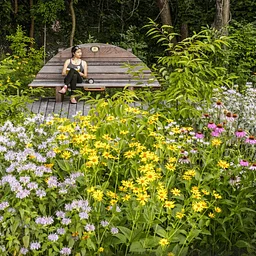 The Living Garden: Designing with Nature — Larry Weaner