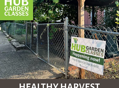 HUB Garden Class: Healthy Harvest (West End)
