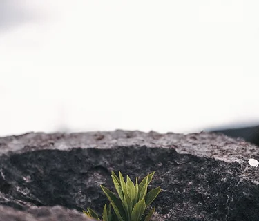 Emerge | Spring Hygge Retreat