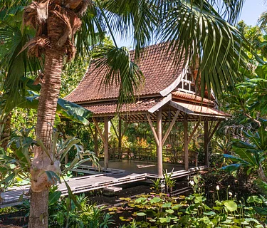 ALI9: The Sacred Lotus Sound Meditation