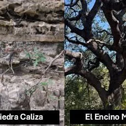 Lotería en el Parque