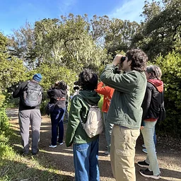 Bird Curious: Beginner Birding in the Garden