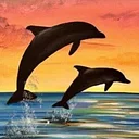 Dolphin Jumps – 20% Off
