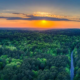 Duke Forest’s 2026 Annual Gathering