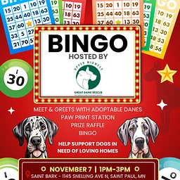 Bingo, Great Danes & Giving Back!