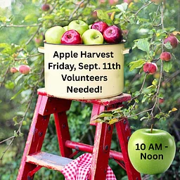 Apple Picking!