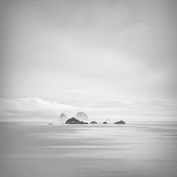 Artist Reception | To the Sea