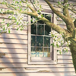 BAA 1-Day Watercolor Workshop with Artist Alan Shuptrine / “Wyeth 2.0! The Techniques and Inspiration of Andrew Wyeth”