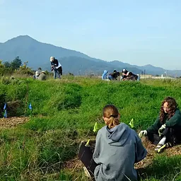 Corte Madera Marsh Ecological Reserve (CMMERE) Volunteer Work Day