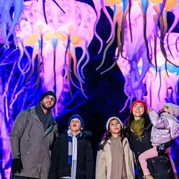 Tinker Bell’s Neverland: An Illuminated Adventure