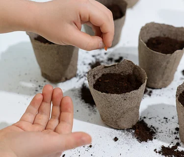 Saturday Nature Explorers – Wildflowers