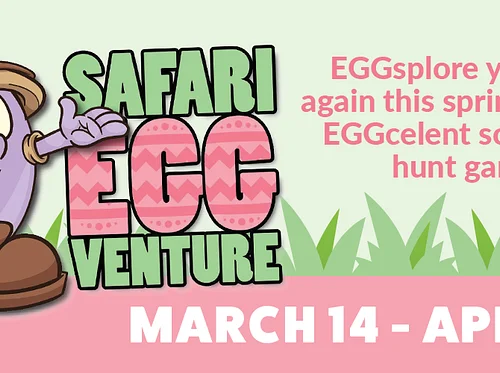 Safari Eggventure 2026