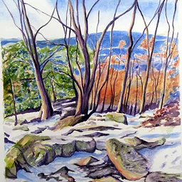 Continuing Watercolor
