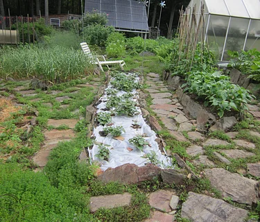 Growing A Great Garden