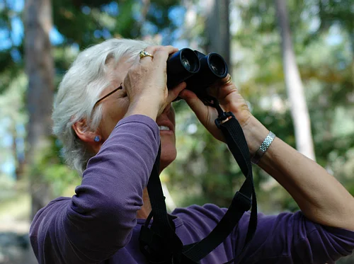 BIRDING WITH BARBARA