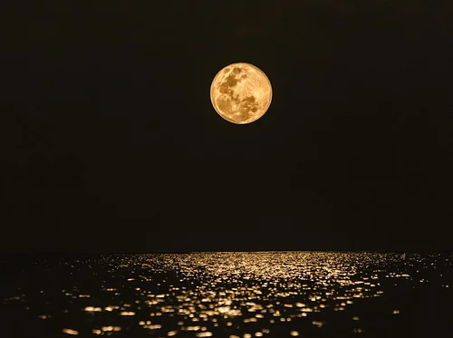 Full Moon Gathering with Maya Rook