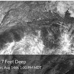 Mimesis Documentary Festival: 17 Feet Deep