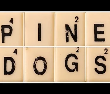 Pine Dogs – Sportsmens