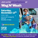 Mobile Adoptions at Wag N’ Wash