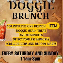 Doggie Brunch