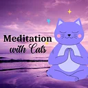 Guided Meditation Hour with Cats