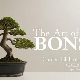 Horticulture Corner: The Art of Bonsai for Beginners