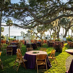 Party in Paradise 2026