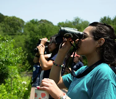 Birding in a Changing Climate (Marshfield)