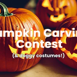 Pumpkin Carving Contest - Sponsored by Clarke Realty!
