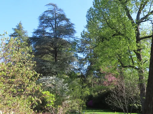 Outdoor Adventures – Arbor Day Everyday