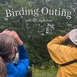 Birding Outing at Mine Falls Park